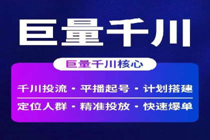 SEM推广实战：成功案例剖析